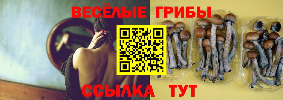 Галлюциногенные грибы Psilocybe  Вход с VPN  купить   Краснодар 