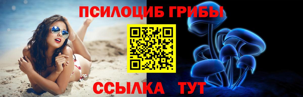 Псилоцибиновые грибы Psilocybe Краснодар